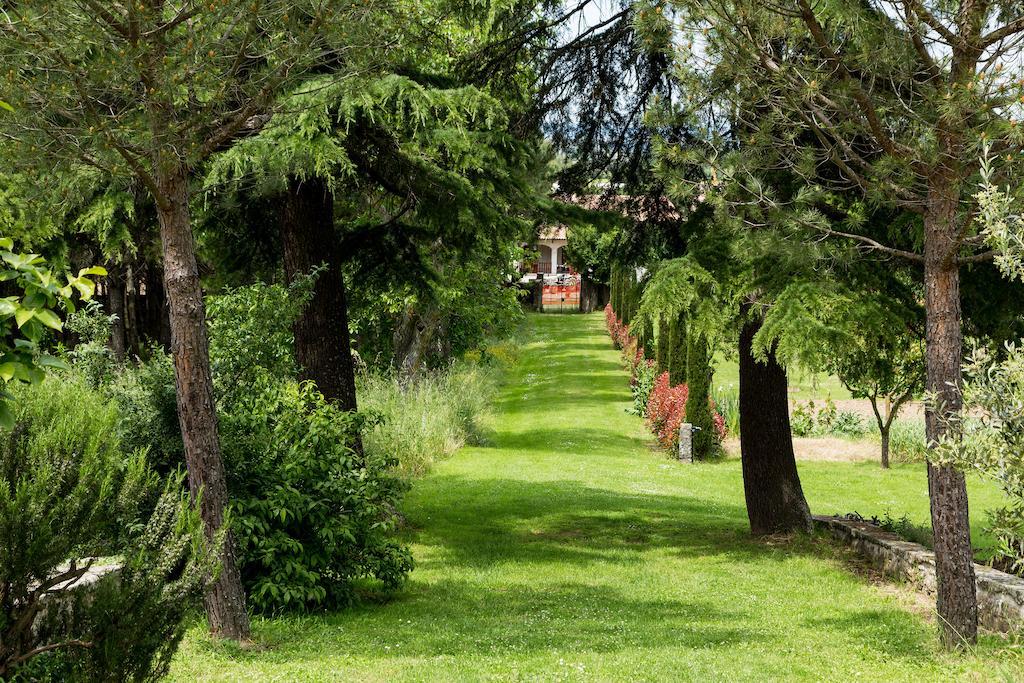Casale Vacanze Il Granaio กอร์โตนา ภายนอก รูปภาพ