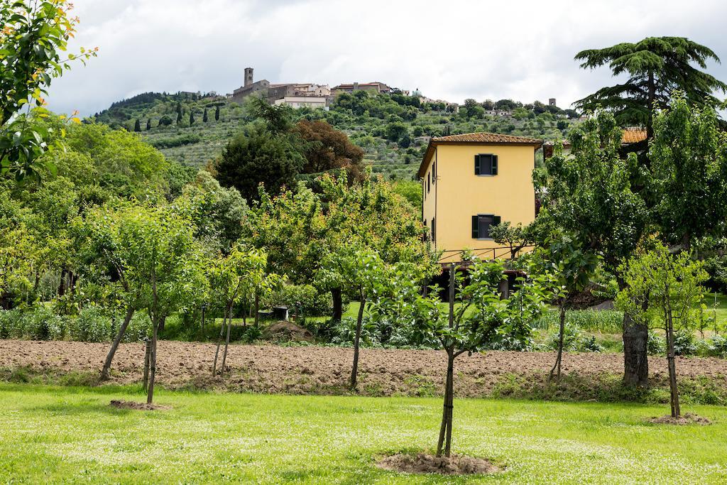 Casale Vacanze Il Granaio กอร์โตนา ภายนอก รูปภาพ