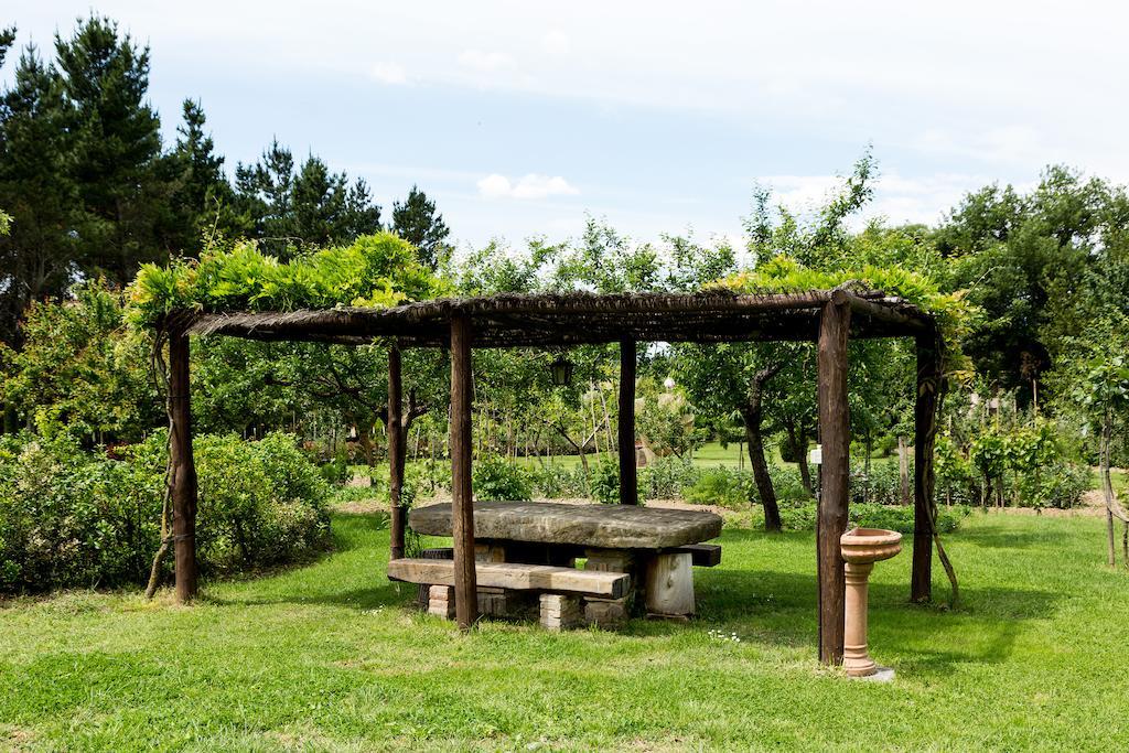 Casale Vacanze Il Granaio กอร์โตนา ภายนอก รูปภาพ